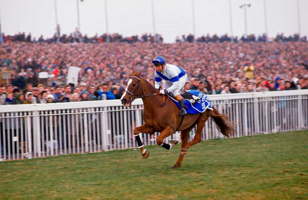 Bob Champion and Aldaniti gallop before Aintree racegoers in 1987.