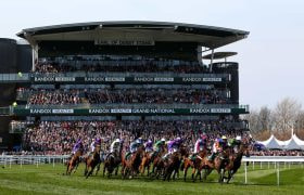 Huge crowds pack an Aintree grandstand as the runners gallop by.
