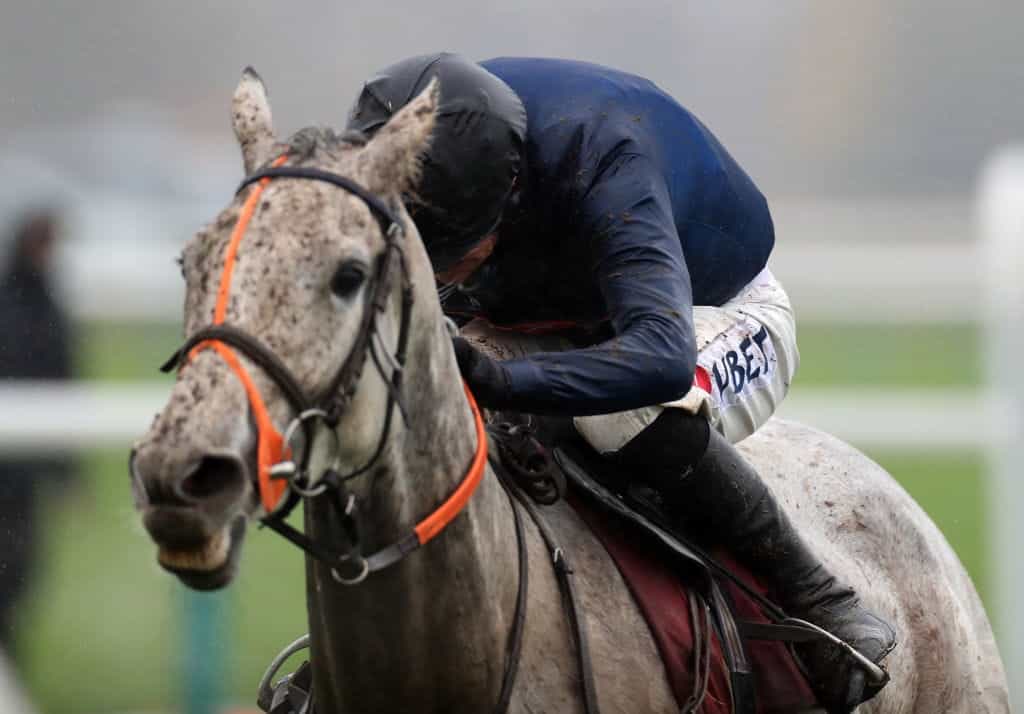 Snow Leopardess in racing action.