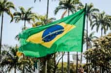 The Brazilian national flag waves in front of palm trees.