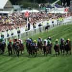 The closing stages of a sprint contest at Epsom on Derby day.