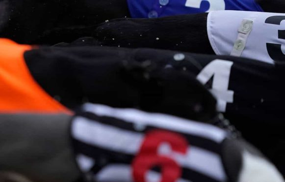 Greyhounds pouncing out of starting boxes in line at the beginning of a race.