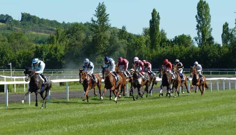 Several horse jockeys racing their horses on a track outside in the summer, with green hills towering behind them.