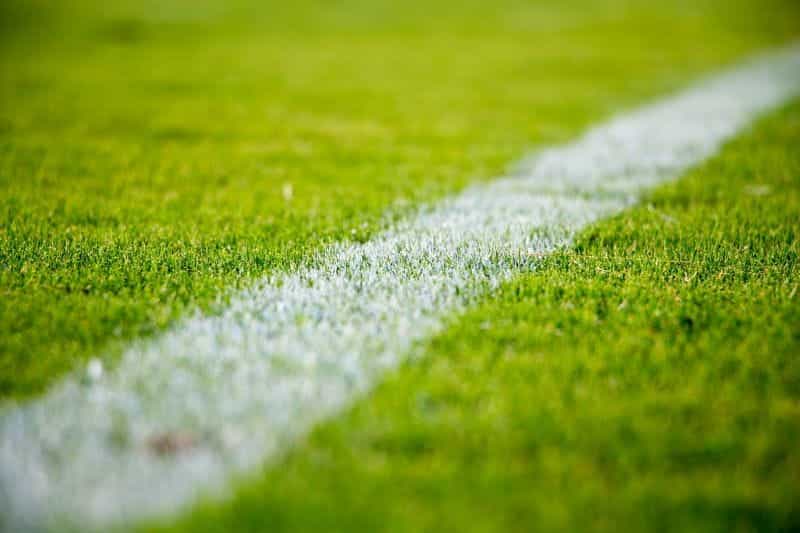 A white line on a soccer field.
