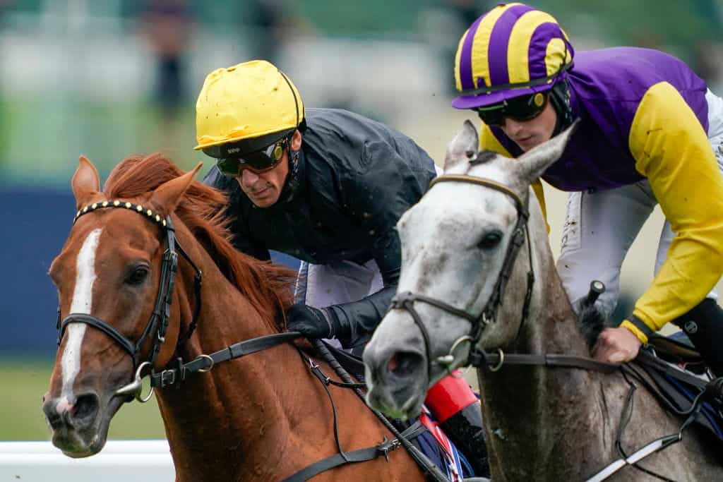 Stradivarius tasting defeat in the 2021 Gold Cup.