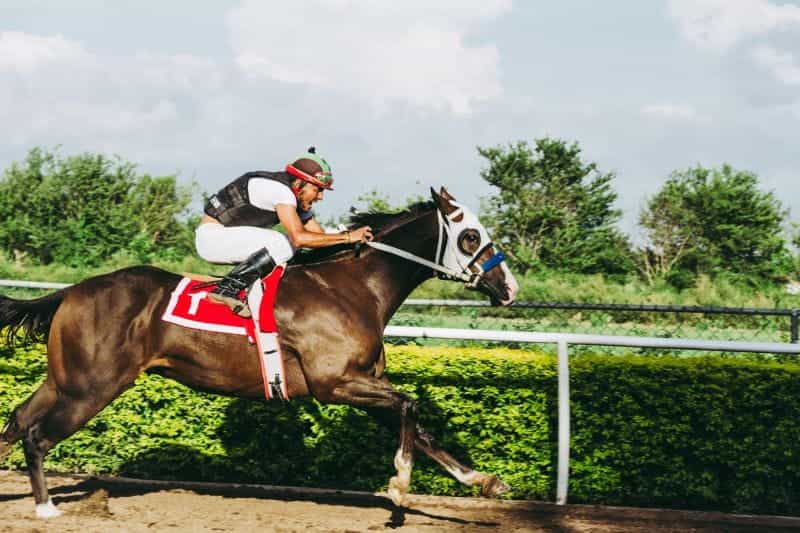 A jockey riding a racehorse.