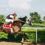 A jockey racing a horse round a track.