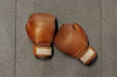 A pair of boxing gloves.