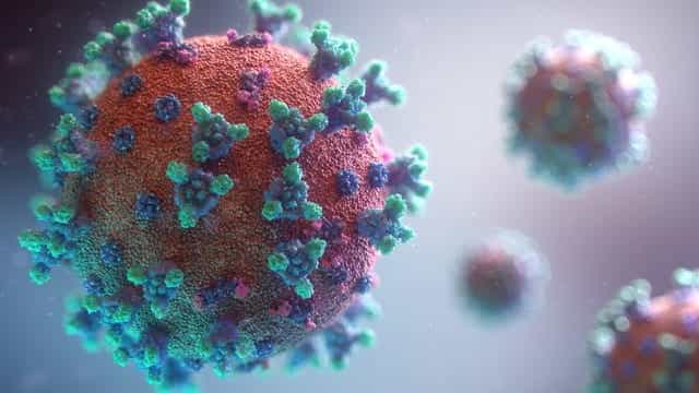 A 3D representation of the Covid-19 virus cell.