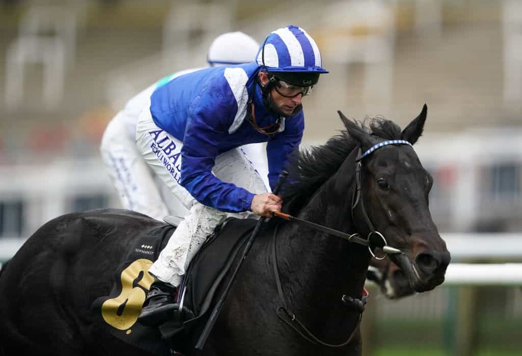 Mutasaabeq ridden by Dane O'Neill winning at Newmarket.