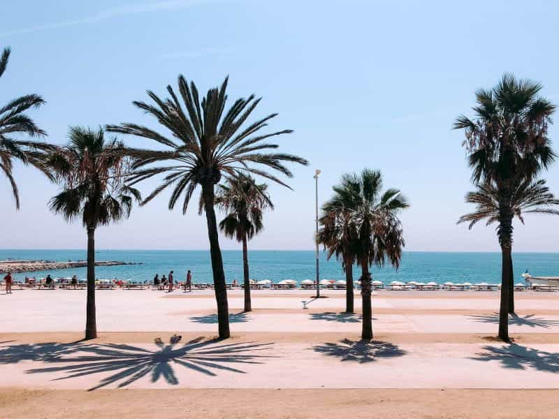 Palm trees and people on a beach in Barcelona.