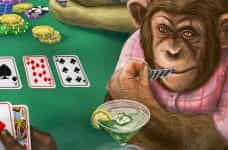 A chimpanzee at a card table.