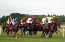 A half dozen horse racing jockeys racing their horses in full speed on a horse racing track.