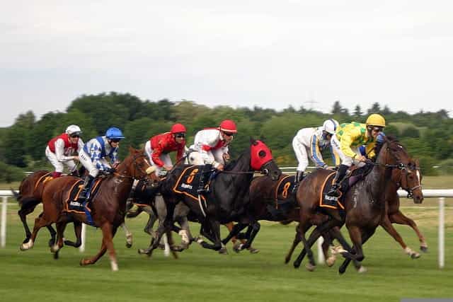 Setengah lusin joki pacuan kuda memacu kuda mereka dengan kecepatan penuh di lintasan pacuan kuda.