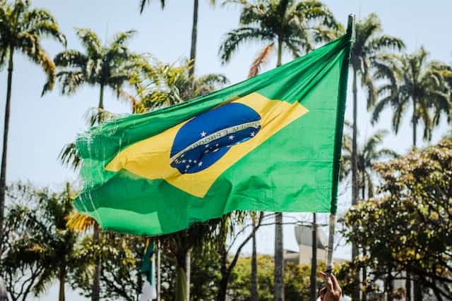 Bendera Brasil melambai dengan latar belakang pohon palem.