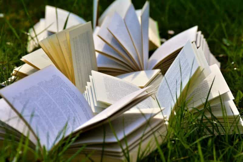 Open books on grass.