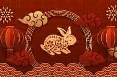 A rabbit drawn in the Chinese style.