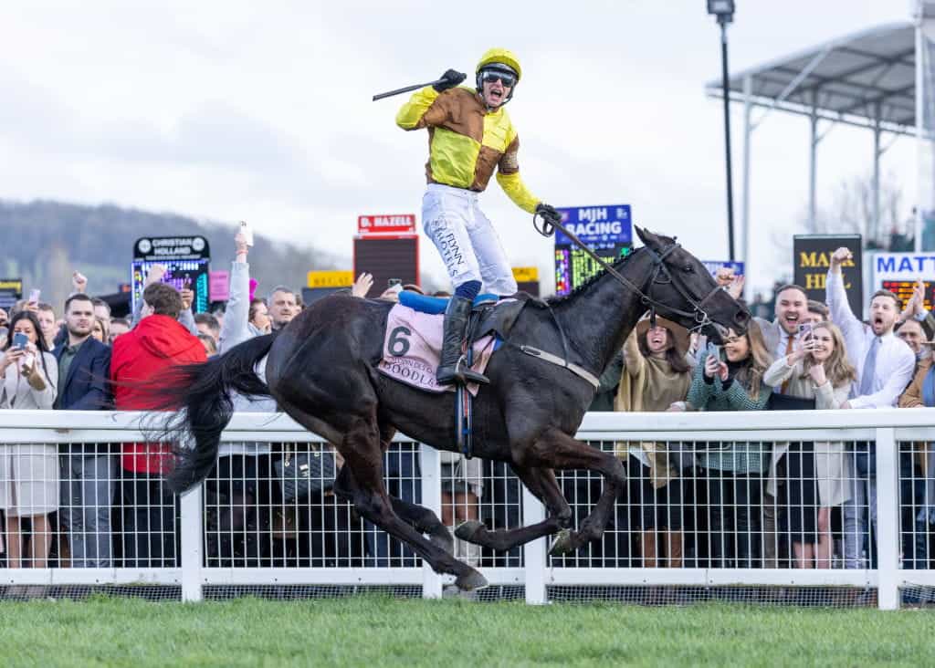 Jockey Paul Townend on Galopin Des Champs celebrates winning the 2023 Boodles Cheltenham Gold Cup.