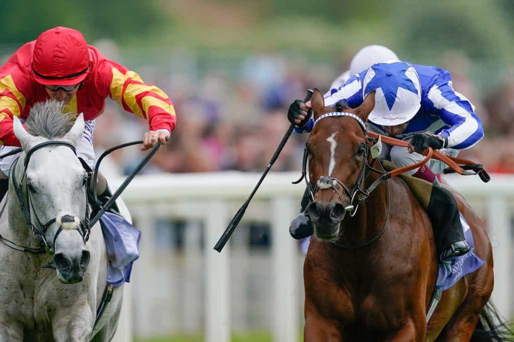 Oisin Murphy mendorong The Foxes untuk memenangkan Taruhan Dante 2023 di York Racecourse.