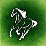 A white outline logo of a horse galloping superimposed on a grassy green background.