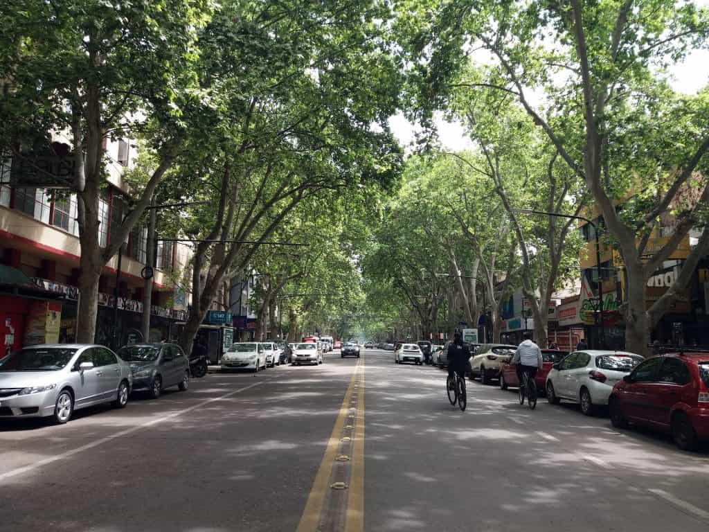 A tree-lined street in the capital of the province, Mendoza.