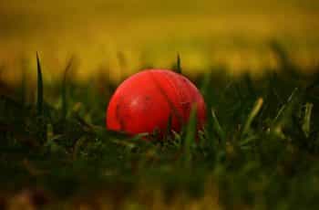 Cricket ball on the grass.