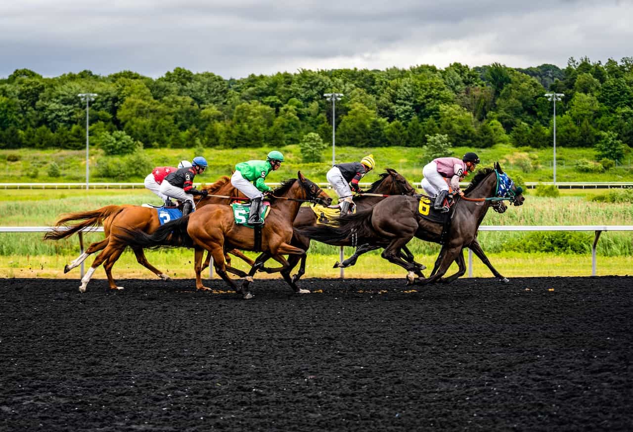 Jockeys racing horses on a track.