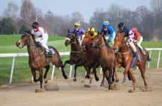 Six jockeys racing their horses at full speed during a race at an outdoor horse racing track.