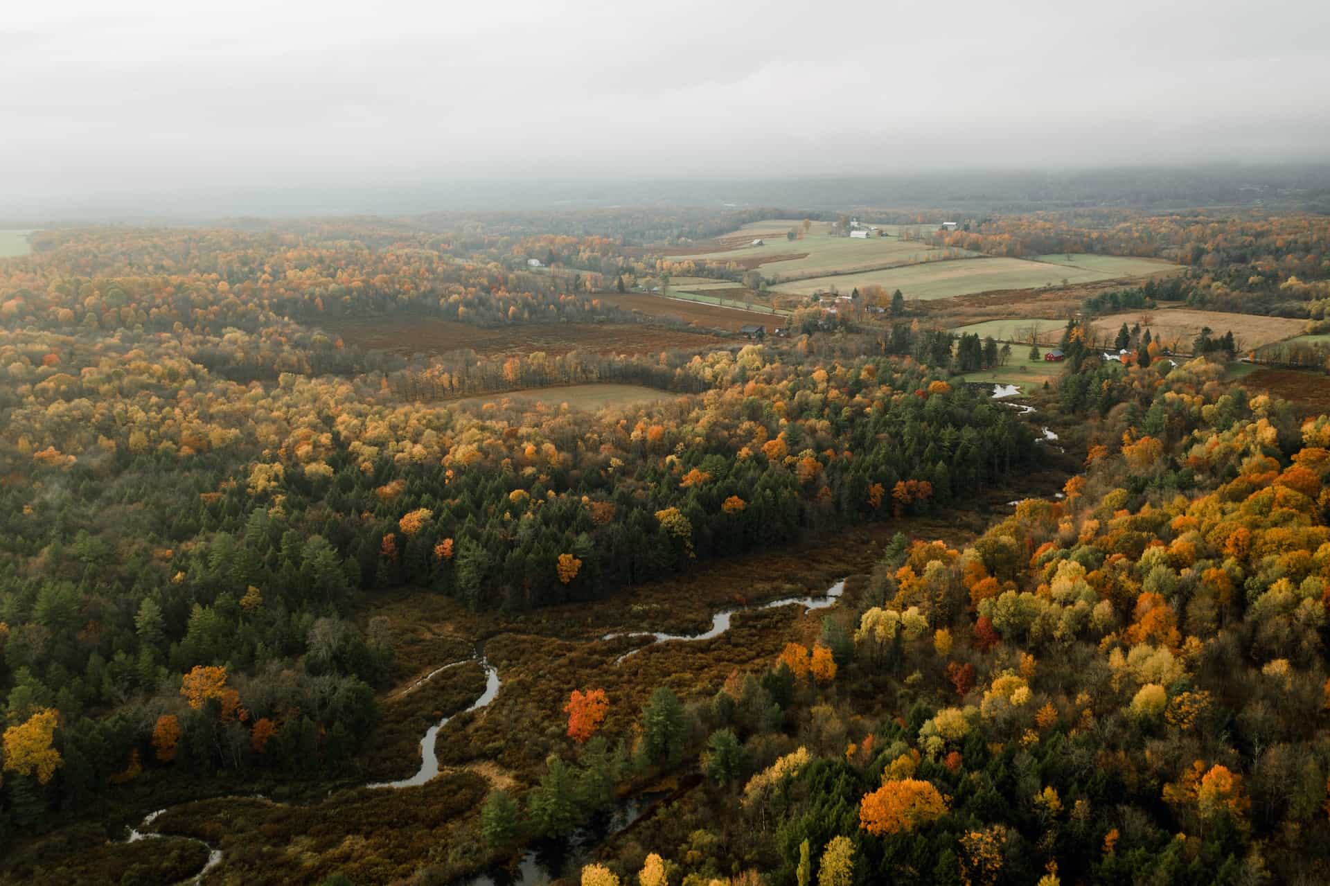 Pemandangan lanskap pedesaan di negara bagian AS Pennsylvania selama musim gugur, menampilkan hutan yang luas, sungai kecil, dan lahan pertanian.