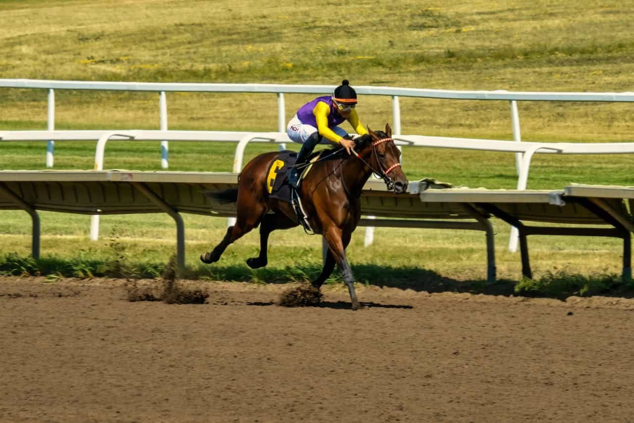 A jockey racing a horse around a track.