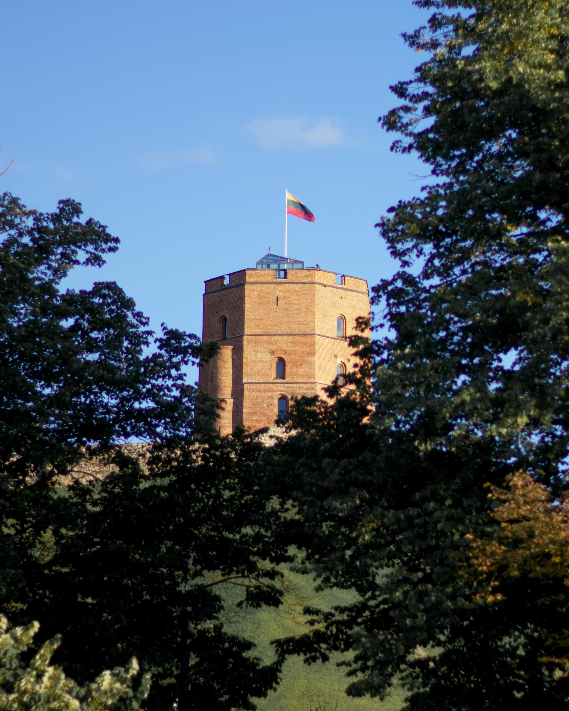 A brown building under a blue sky with a Lithuanian flag on top.
