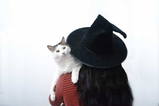 A woman with long hair wears a witches hat and holds a cat on her shoulder.