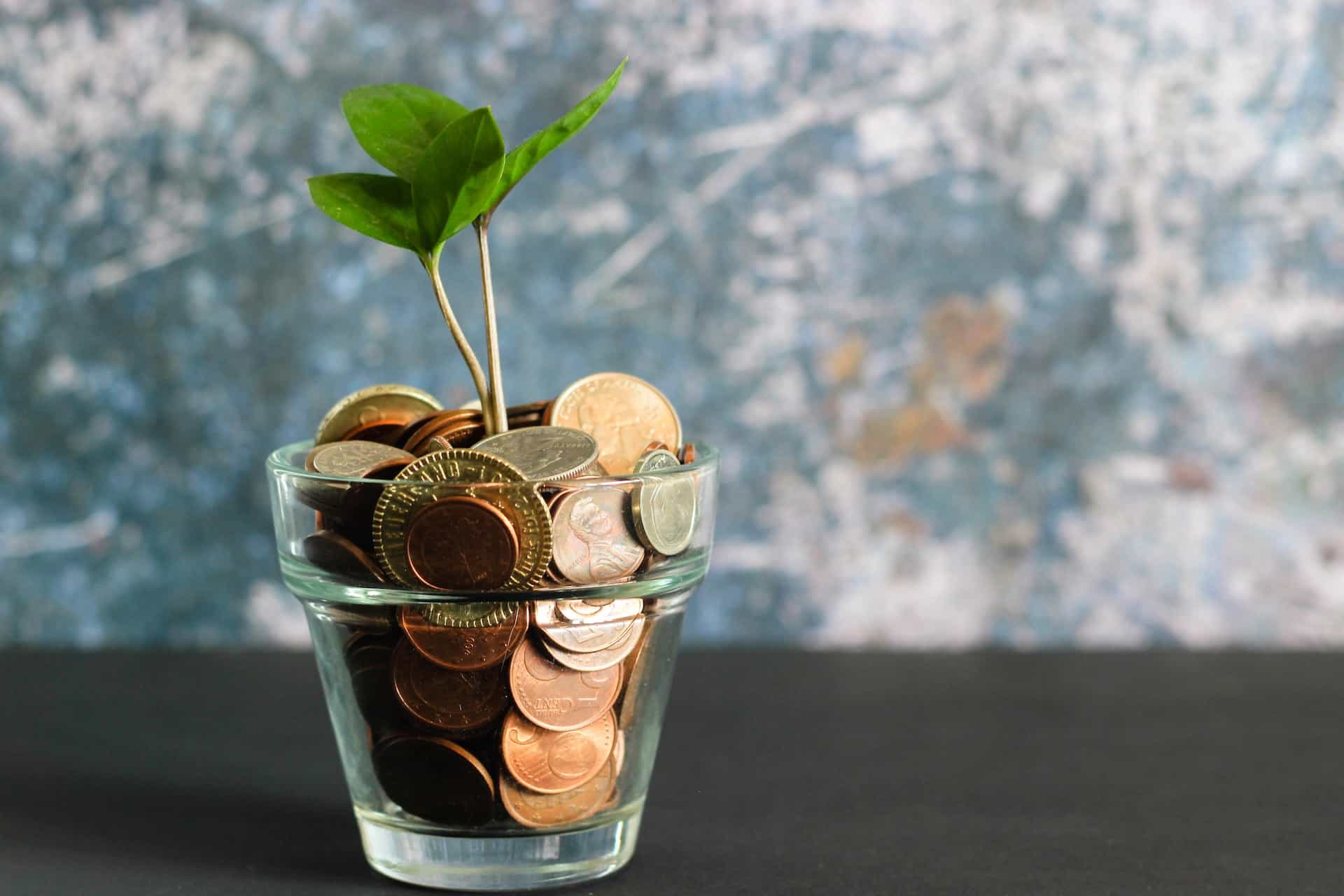 A plant growing in a glass of coins.