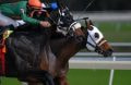 Two jockeys racing their horses head to head on a professional outdoor horse racing track.