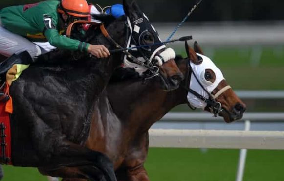 Two jockeys racing their horses head to head on a professional outdoor horse racing track.
