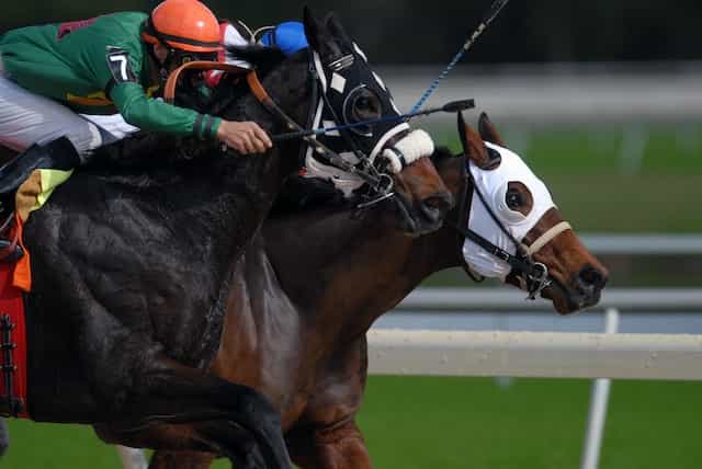Two jockeys racing their horses head to head on a professional outdoor horse racing track.