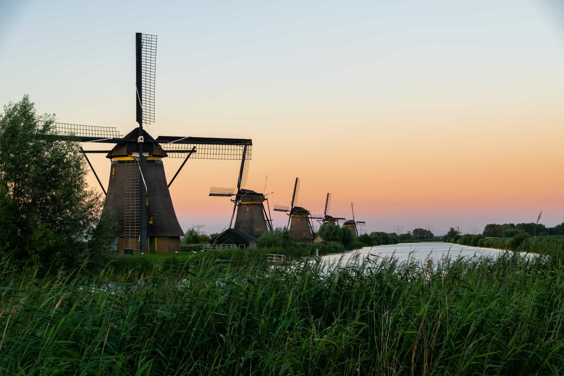 A series of windmills in a green field near water during sunset.