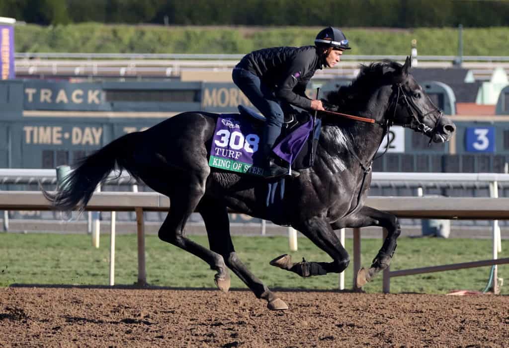 King of Steel is on track in preparation for the Breeders' Cup at Santa Anita Park.