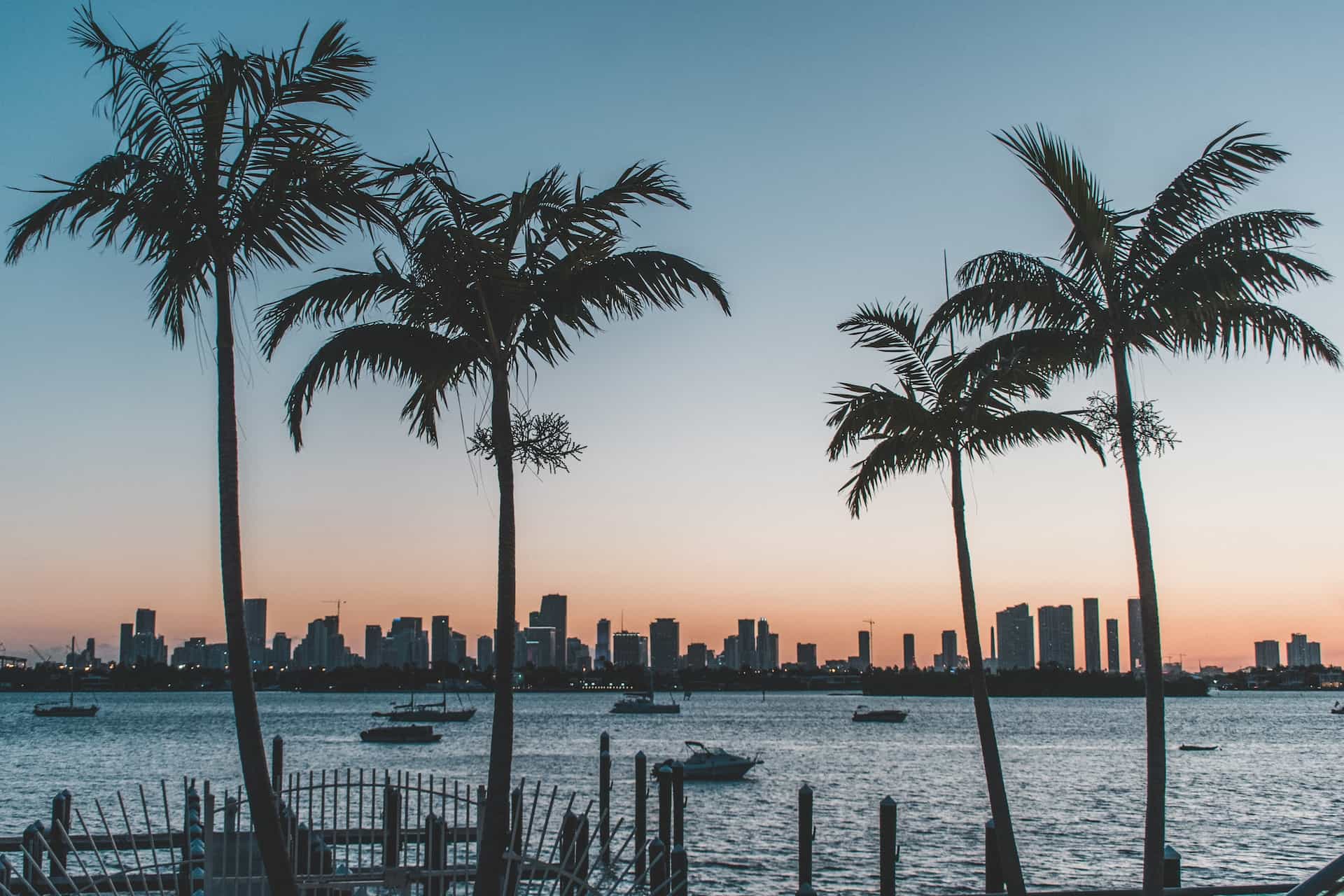 The beachfront of Miami Beach in the US state of Florida, featuring palm trees and the bay, with the towering skyline of Miami seen off in the distance.