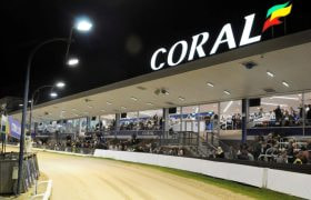 The Grandstand at Romford Greyhound Stadium During a Race Night.