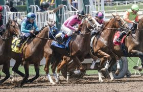 An image showing a horse race getting under way.