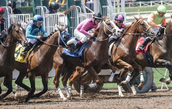 An image showing a horse race getting under way.