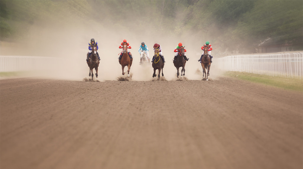 Will Breeders' Cup 2024 Be a Classic for Europe's Finest?