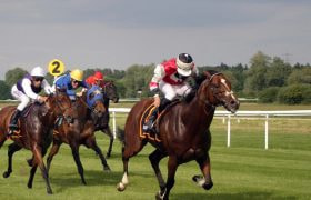 The Two Lead Riders in a Horse Race