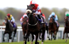 Racehorse Aleezdancer Seen Winning at Doncaster Racecourse.