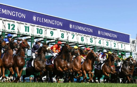 Image of Flemington Racecourse Starting Line with Participants