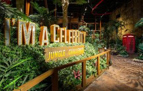 The stage set for the "I’m A Celebrity… Jungle Challenge" attraction.