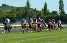 Horses Competing in a Professional Race