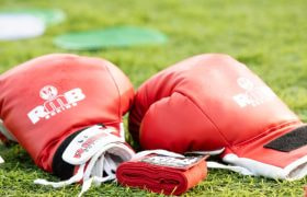 A Pair of Boxing Gloves Lying on the Grass