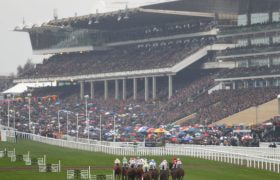 Huge Crowds in the Grandstands at the 2019 Cheltenham Festival.